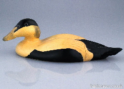 eider duck - sea duck carvings